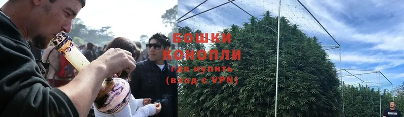 darknet Telegram  Кораблино  Каннабис White Widow 